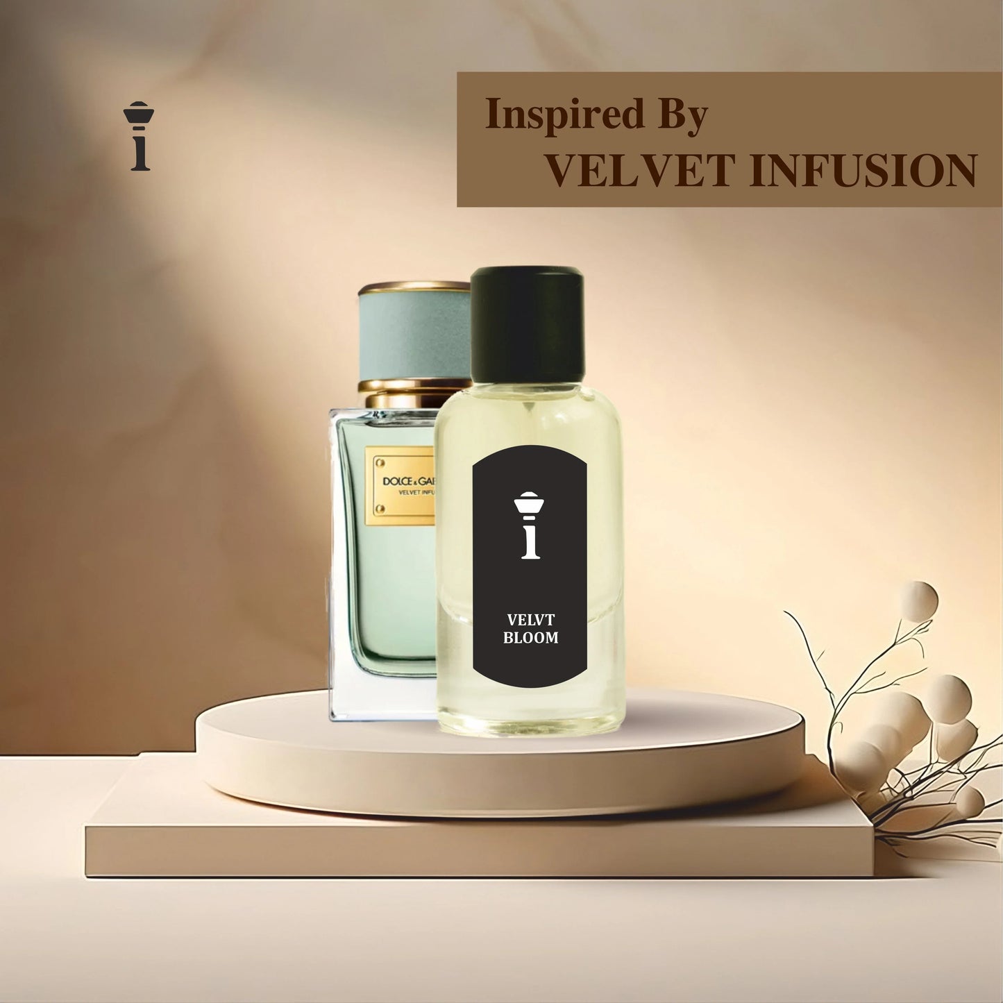 VELVT BLOOM (inspired by Velvet Infusion Dolce&Gabbana)