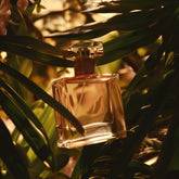 Shop All Fragrances